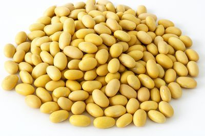 Peruvian Bean “Reyna”