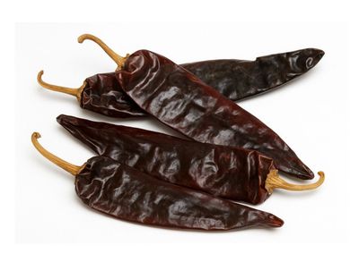 Mexican Guajillo Chile | Unique Color, Flavor, and Aroma