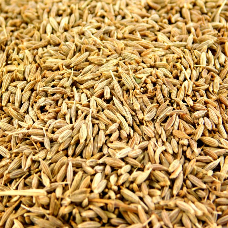 Whole Cumin