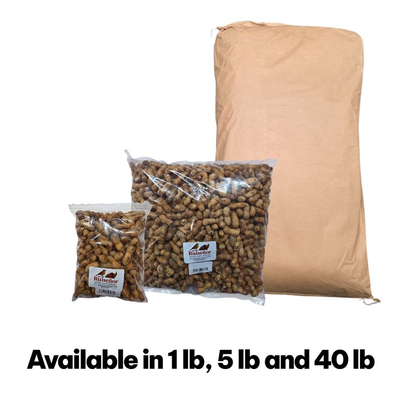 Jumbo In Shell Peanuts |