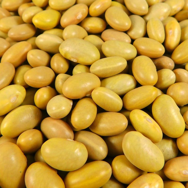 Peruvian Mayocoba Beans | Creamy, Versatile, and Nutritious