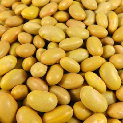 Peruvian Mayocoba Beans | Creamy, Versatile, and Nutritious