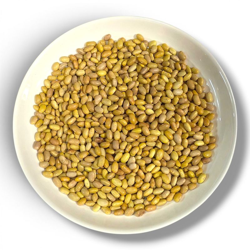 Peruvian Mayocoba Beans