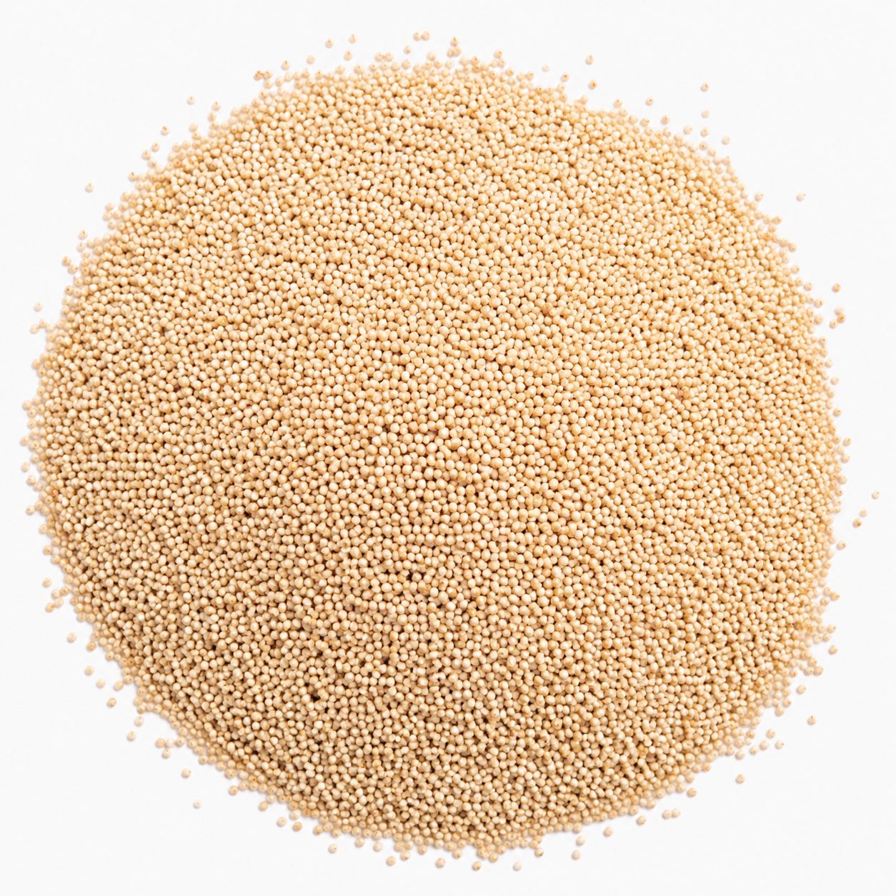 Roasted Amaranth in Bulk – Natural and Nutritious