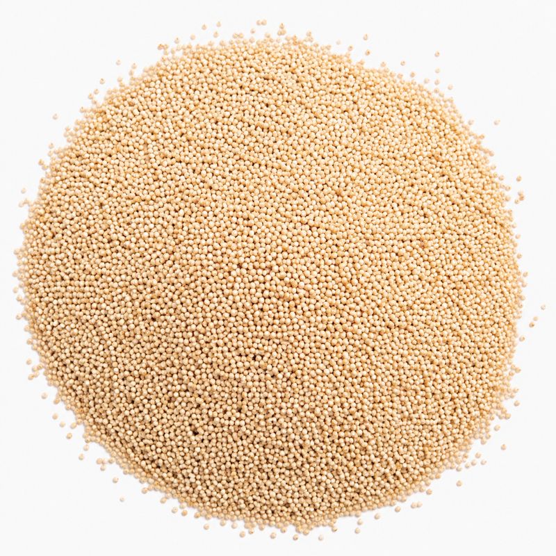 Roasted Amaranth in Bulk – Natural and Nutritious