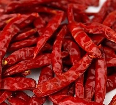 Indu Stemless Chile de Arbol