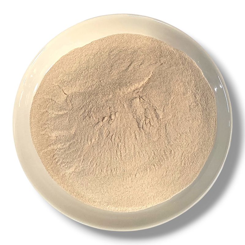 Horchata Powder