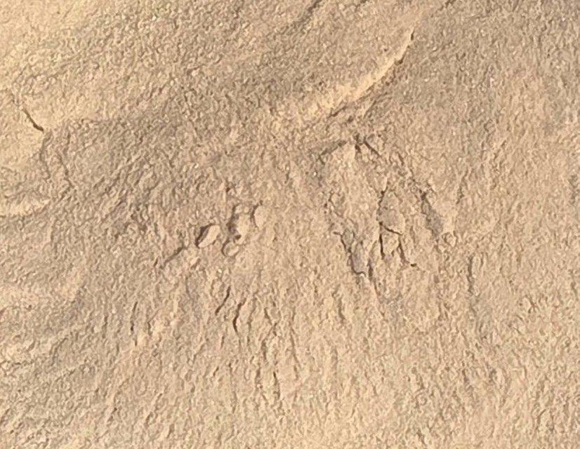 Horchata Powder
