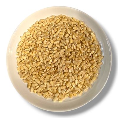 White Corn for Grinding