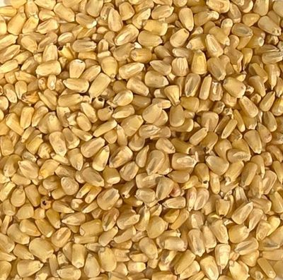 White Corn for Grinding