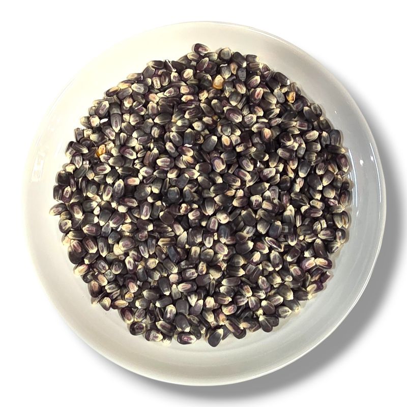 Blue Corn for Grinding
