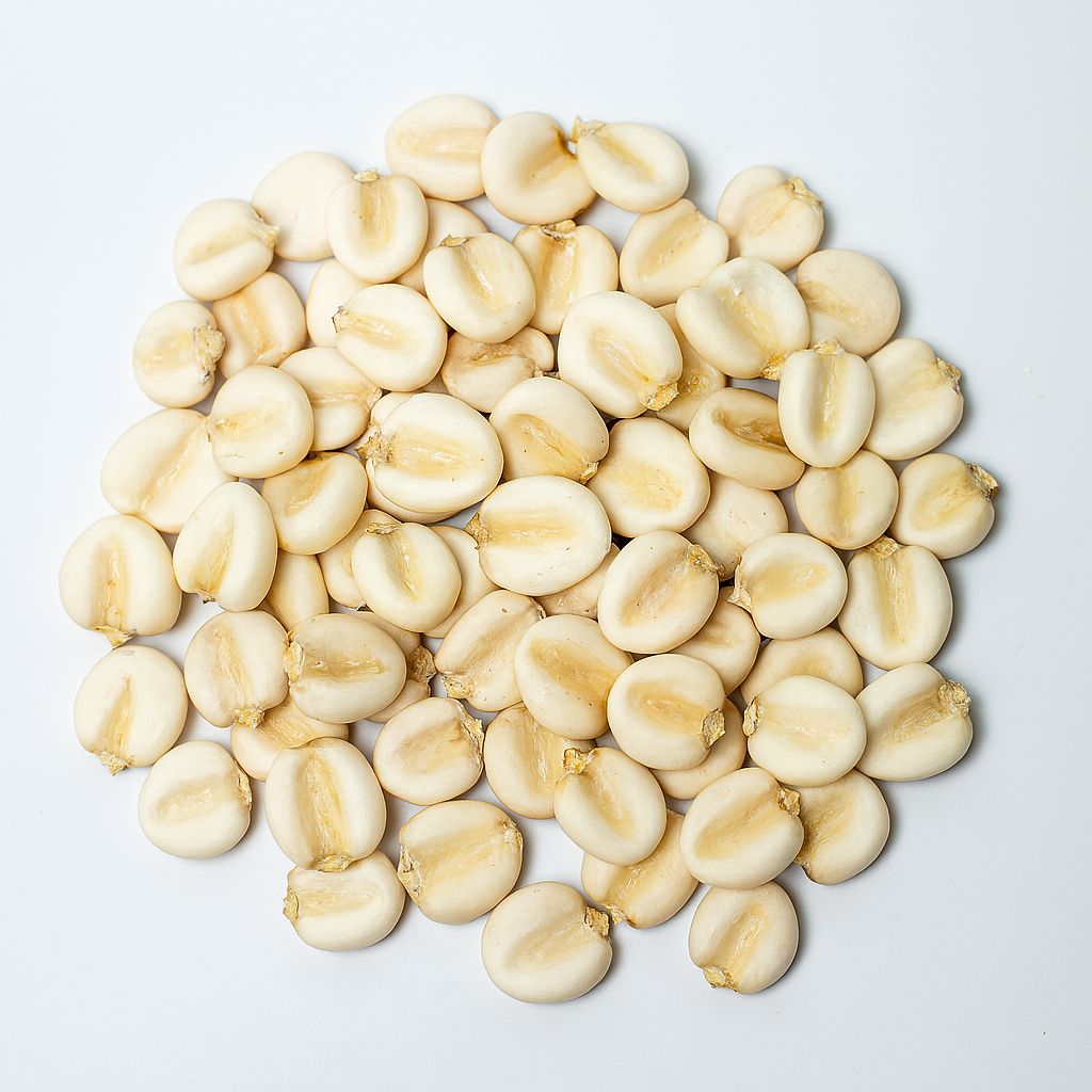 Mote Blanco Corn | Cooked and Hulled Kernel for Stews and Salads
