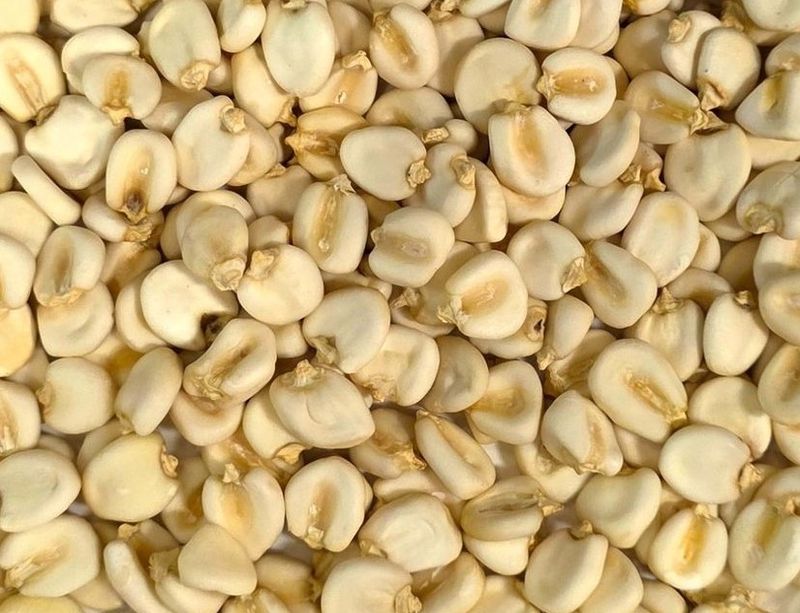 Mote Blanco Corn