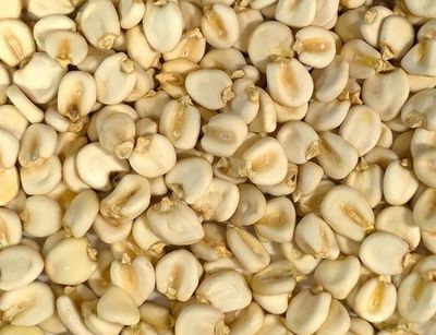 Mote Blanco Corn