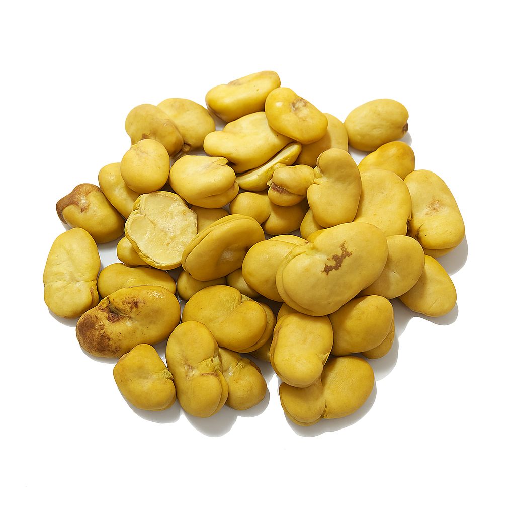 Raw Peeled Fava Beans | Bulk Natural Ingredient