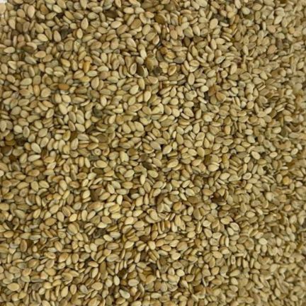 Natural Sesame in Bulk – Premium Quality