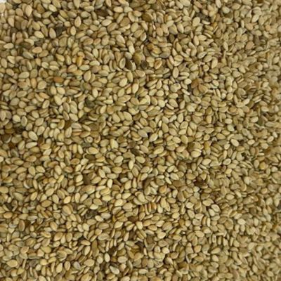 Natural Sesame in Bulk – Premium Quality
