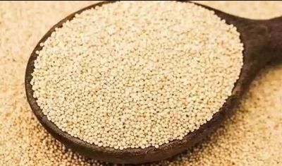 Megh - Rajgaro Whole 400g