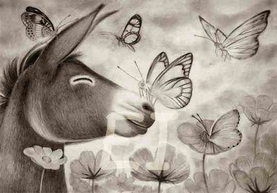 &quot;Spring time&quot;