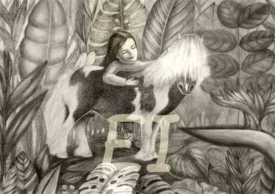 &quot;Pony&quot;