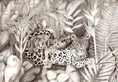 &quot;Jaguar family&quot;
