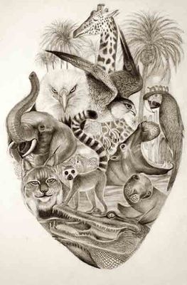Corazón