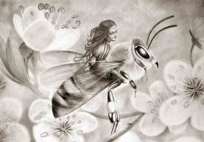 Insectos