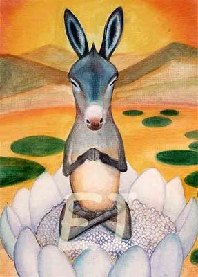 Meditación