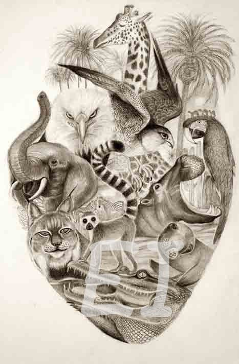 &quot;Animal lover&quot;