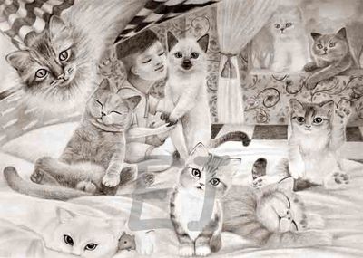 &quot;Passion for cats&quot;