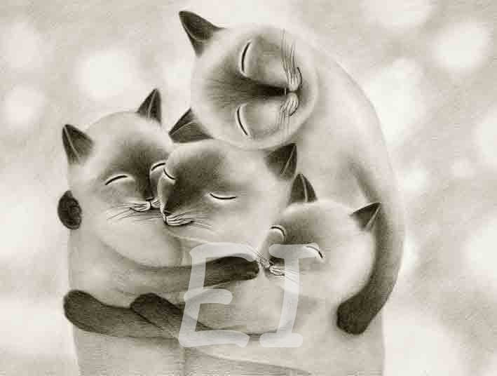 Digital &quot;family cats&quot;