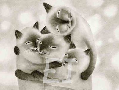 Digital &quot;family cats&quot;