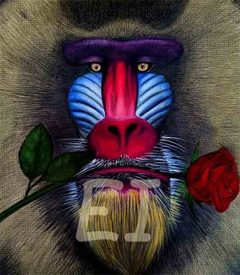 Digital &quot;mandril&quot;