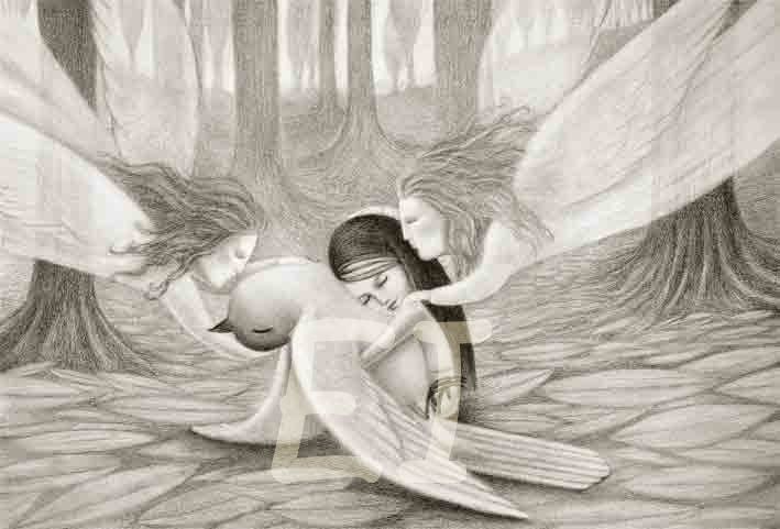 Digital &quot;Duelo3&quot;