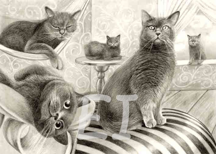 Martin cat