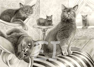 Martin cat