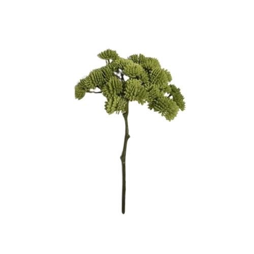 Sedum Bush Green