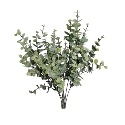 Eucalyptus Bush Grey