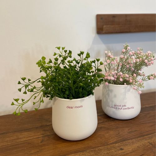 Dear Mom Pot