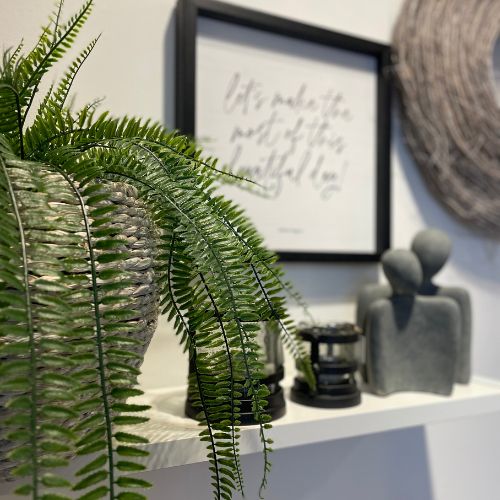 26" Boston Fern Hanger
