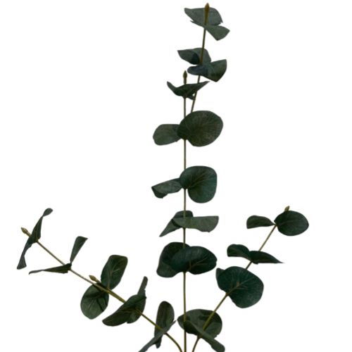 34" Eucalyptus Spray