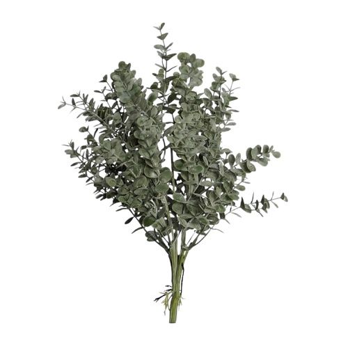 Eucalyptus Fine Grey