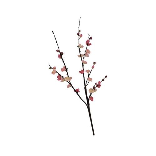 Blossom Pink