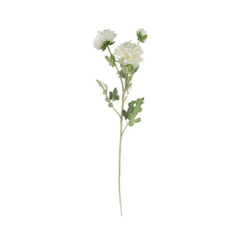 Ranunculus Spray White