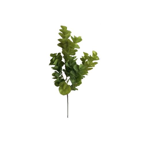 Eucalyptus Bright Green
