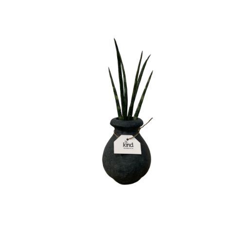 Mini Bud Vase + Snake Plant