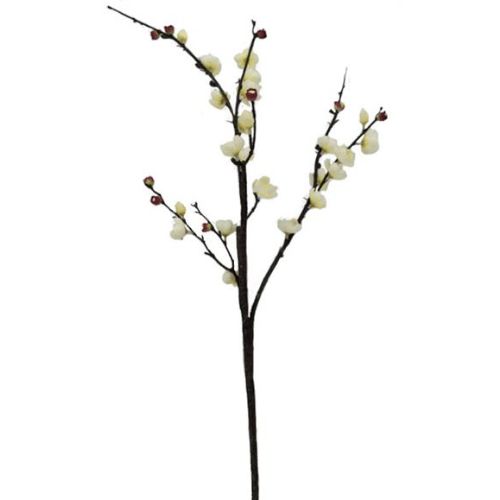 Blossom Stem White/Pink
