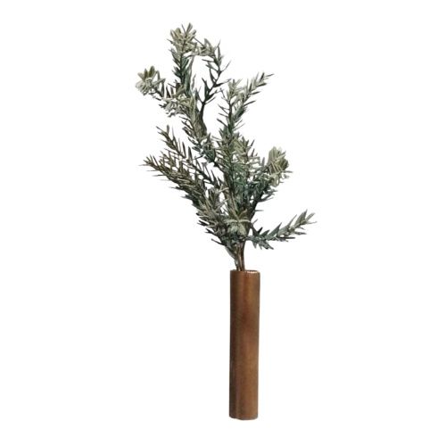 Abies Bush Grey