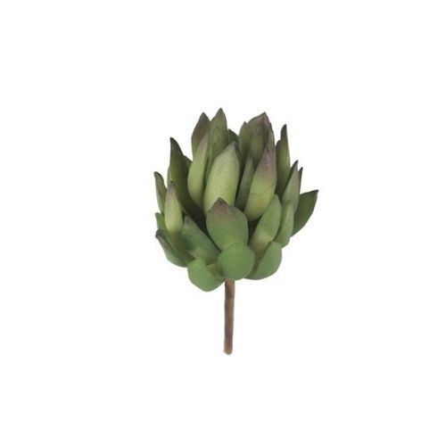 Closed Succulent - Green