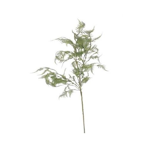 Bracken Fern Spray